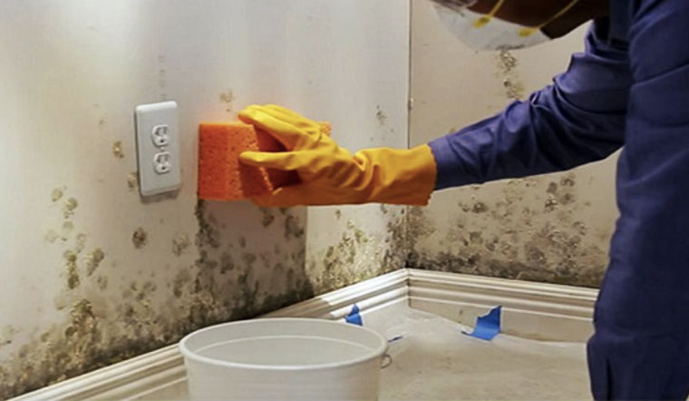 Tường bị ẩm mốc phải làm sao?